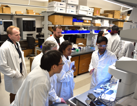 Students learn how to print vascularized tissues