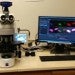 Microscope: Zeiss Axioimager M2