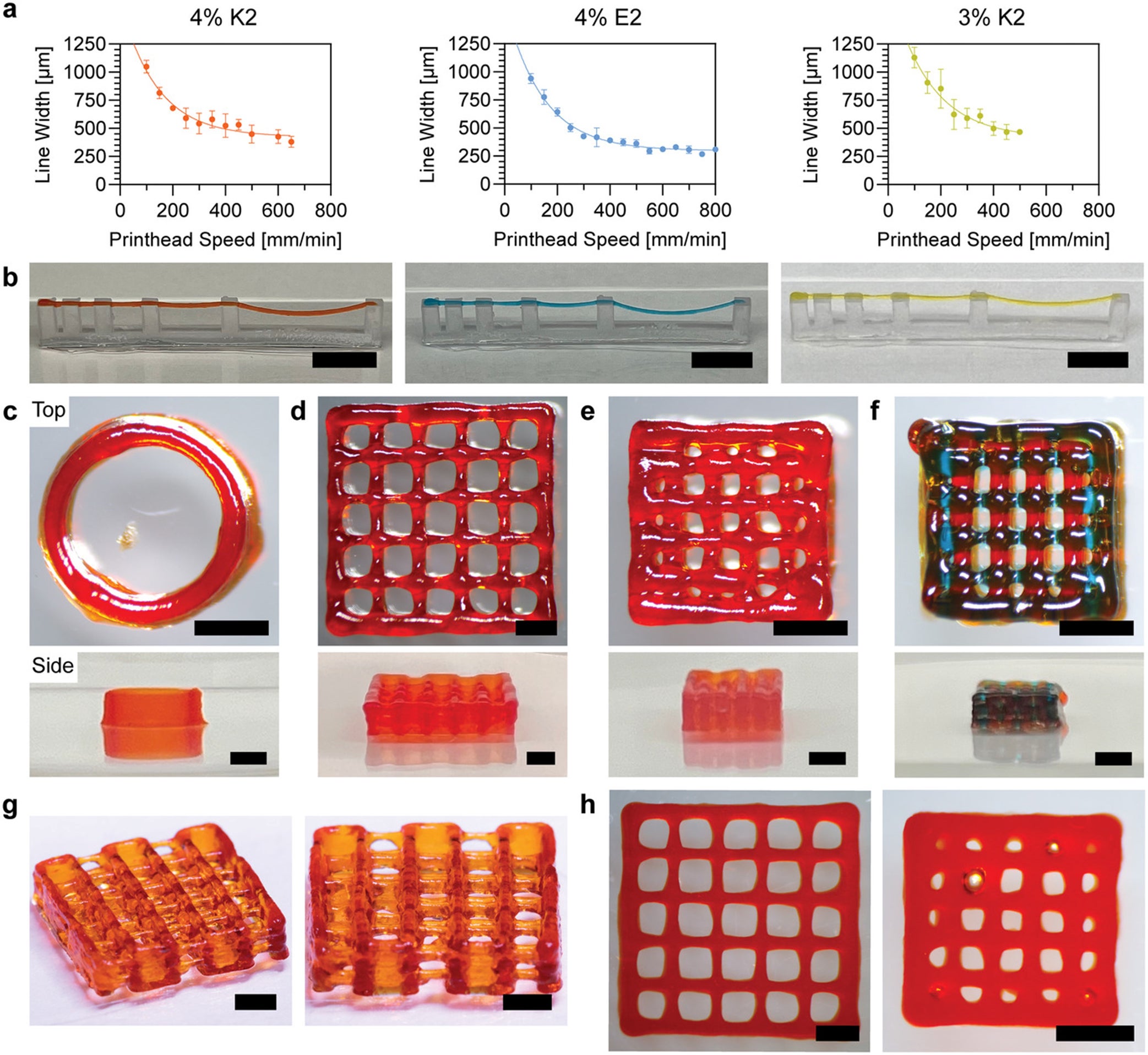 Peptide 3D-printing inks could advance regenerative medicine