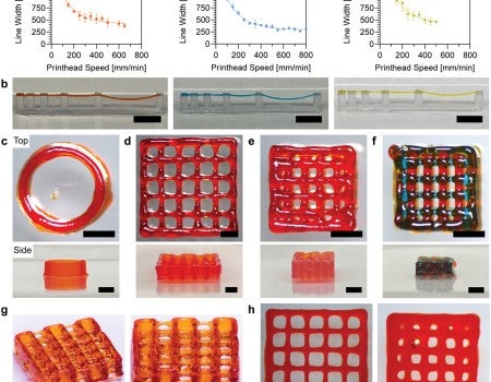 Peptide 3D-printing inks could advance regenerative medicine
