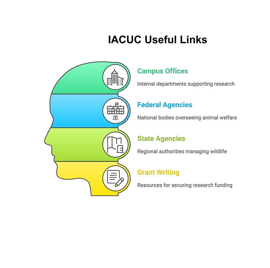Graphical map of links listed below