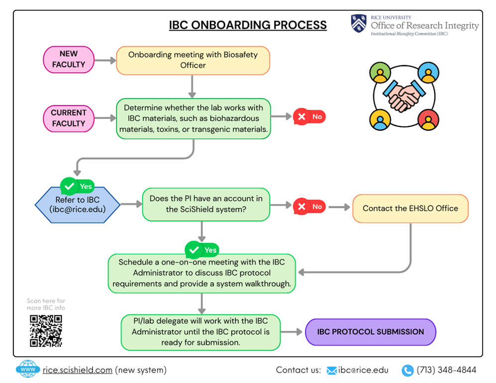 A graphical representation of the process for new PIs to begin the process of obtaining IBC oversight.