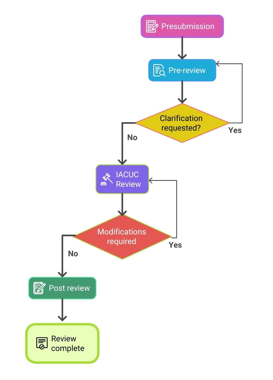 Flowchart of protocol submission and review process