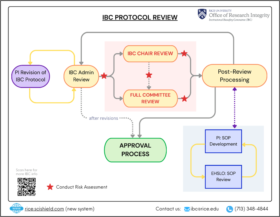 Graphical representation of IBC protocol review process