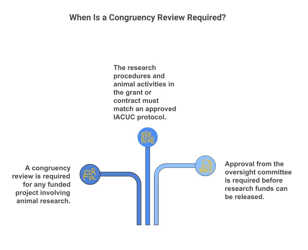 A graphic explaining that funded research must all be covered by an approved IACUC protocol.
