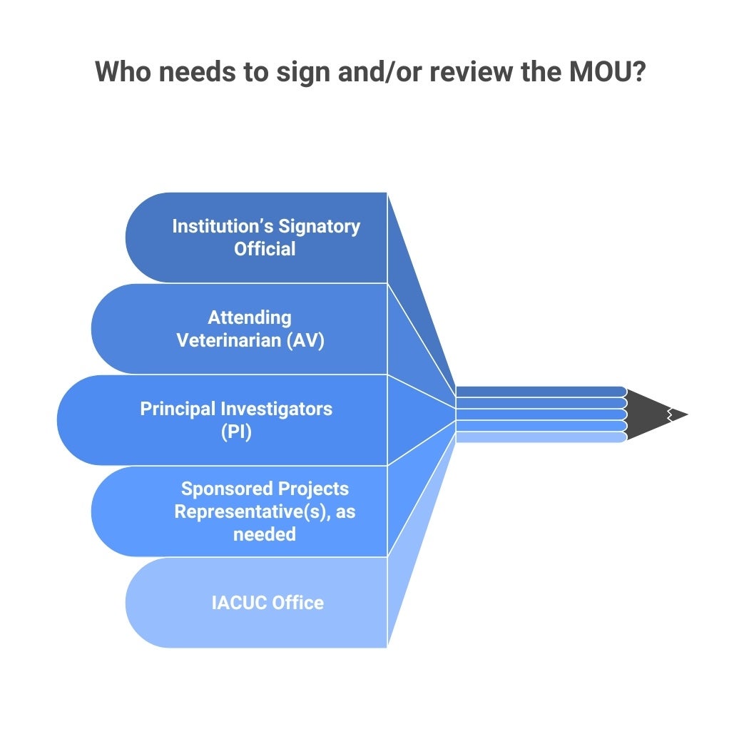Graphic explaining who needs to sign and review MOUs