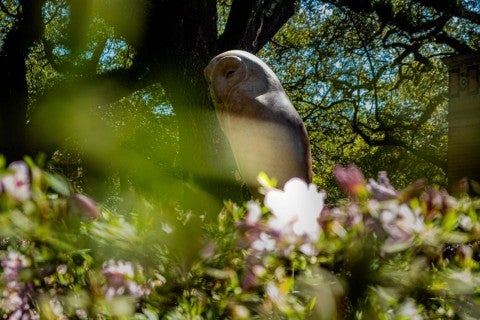 Image of publicly installed art on Rice University campus