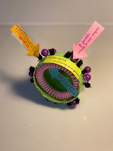 A SARS-CoV-2 virus model made by TLIIST fellow Shaukat Faryal.