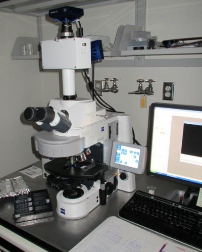 Microscope: Zeiss Axioimager Z2