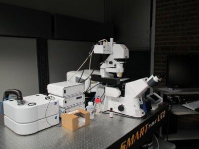 Microscope: Zeiss LSM 710 Confocal