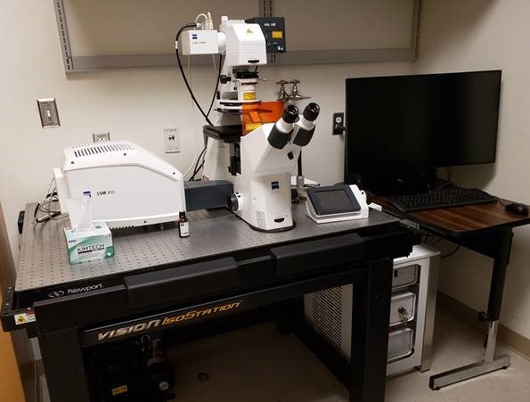 Picture of Zeiss LSM800 Airscan microscope