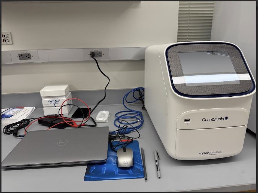 qPCR