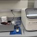 qPCR
