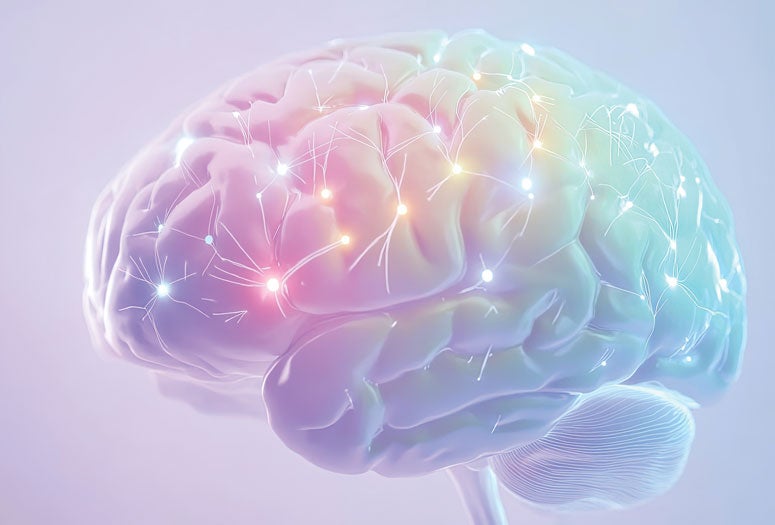 Illustration of neural networks on a brain