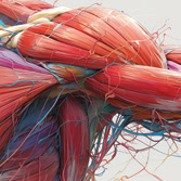 Computational modeling and simulation of the human neuromusculoskeletal system