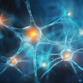 Developing new materials and nuerotechnologies