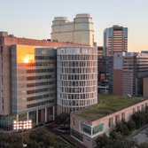 Rice’s Cancer Bioengineering Collaborative