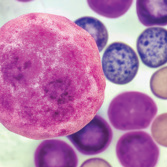 Biomaterials for drug delivery and regenerative medicine