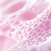 Leaders in bioengineering