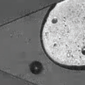 State-of-the-art molecular imaging and sequencing technologies