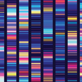Genome instability, a hallmark of cancer.
